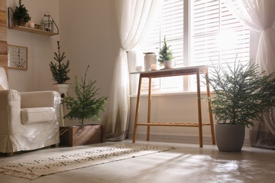 Photo of Potted fir trees in living room. Christmas interior design