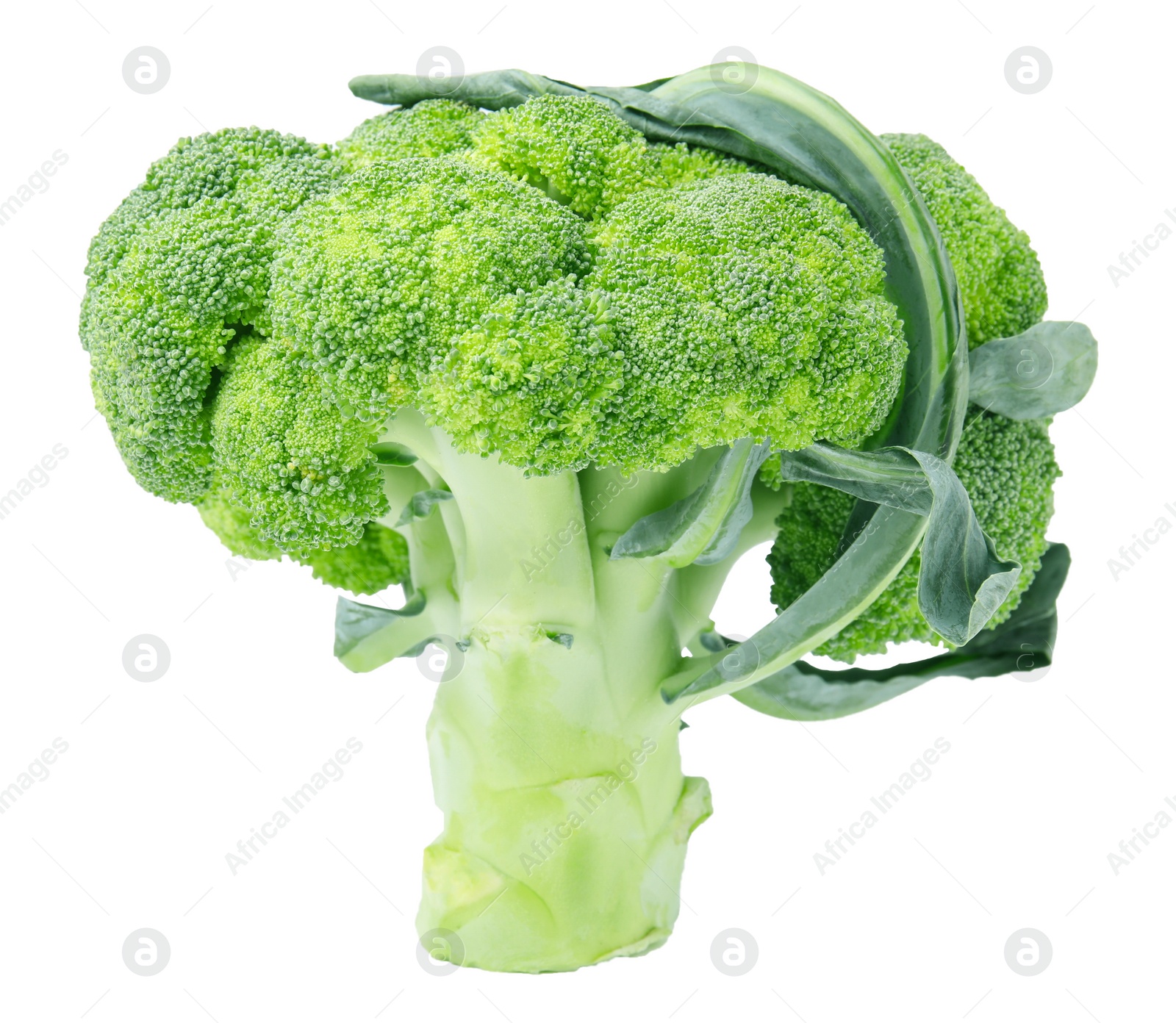 Photo of Fresh raw green broccoli isolated on white