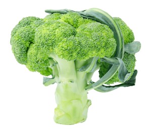 Fresh raw green broccoli isolated on white