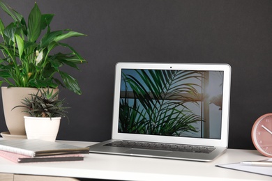 Photo of Houseplants and laptop on table in office interior
