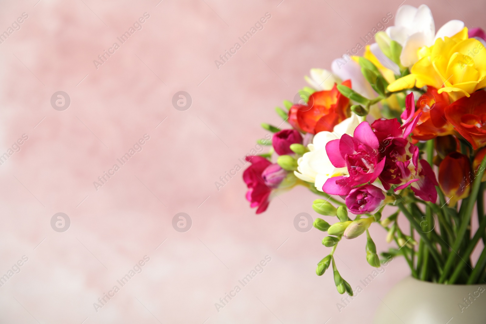 Photo of Bouquet of beautiful spring freesia flowers in vase on color background, space for text