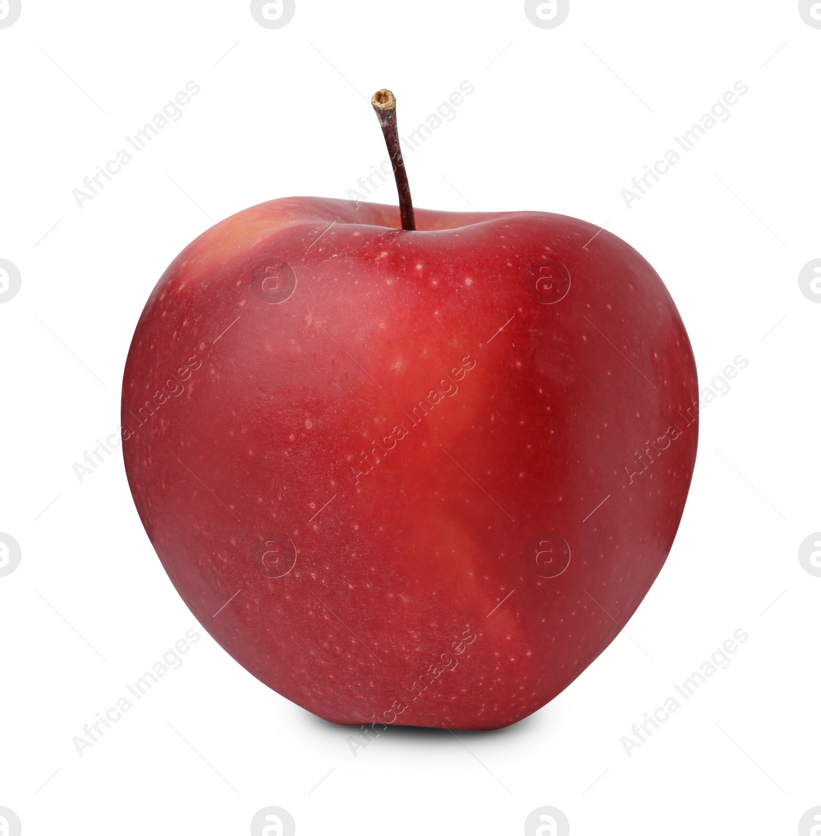 Photo of Whole ripe red apple isolated on white