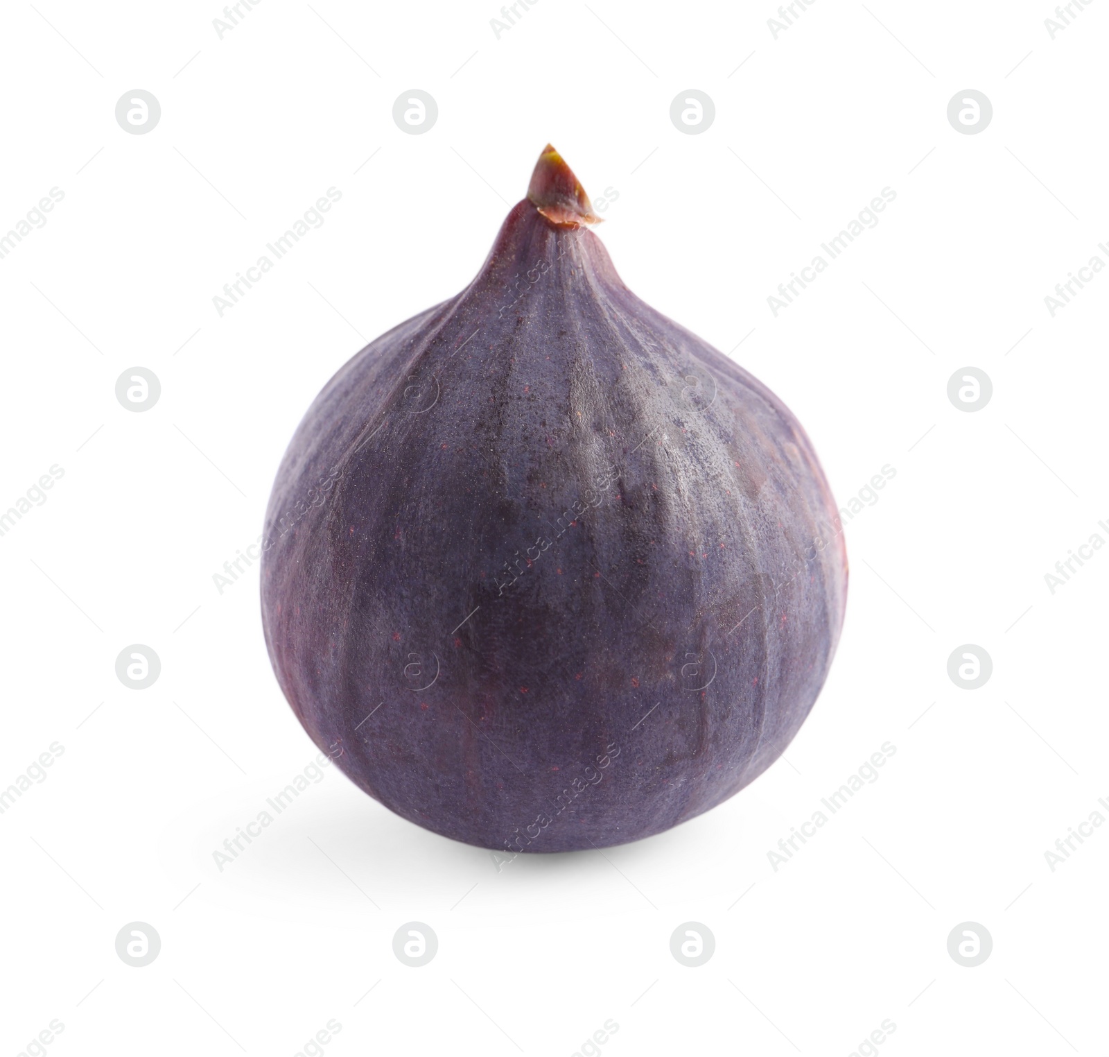 Photo of Whole ripe fresh fig isolated on white