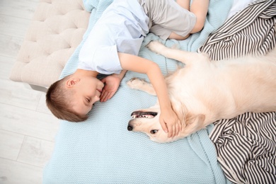 Cute little child with his pet on bed at home