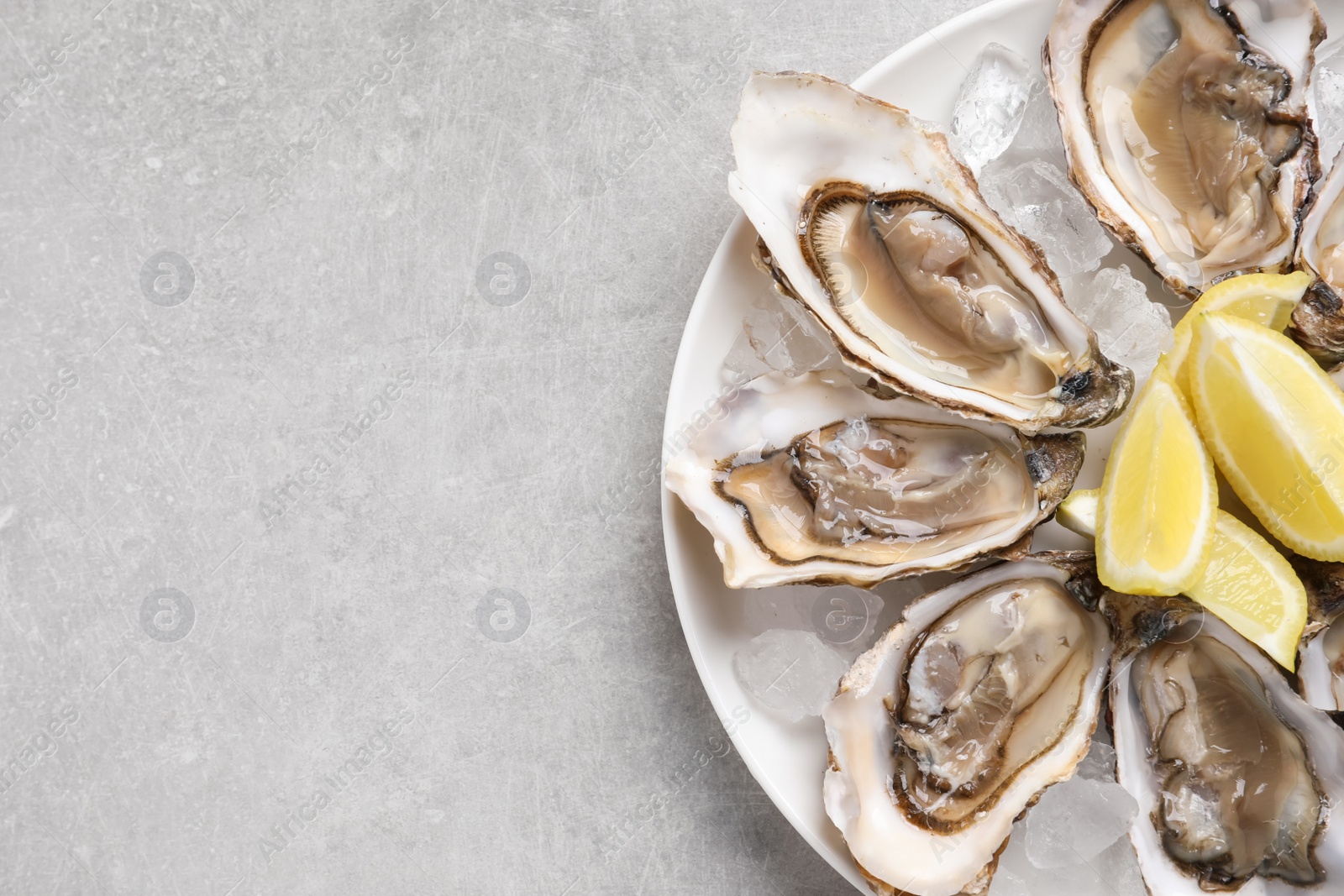 Photo of Delicious fresh oysters with lemon slices on light grey table, top view. Space for text