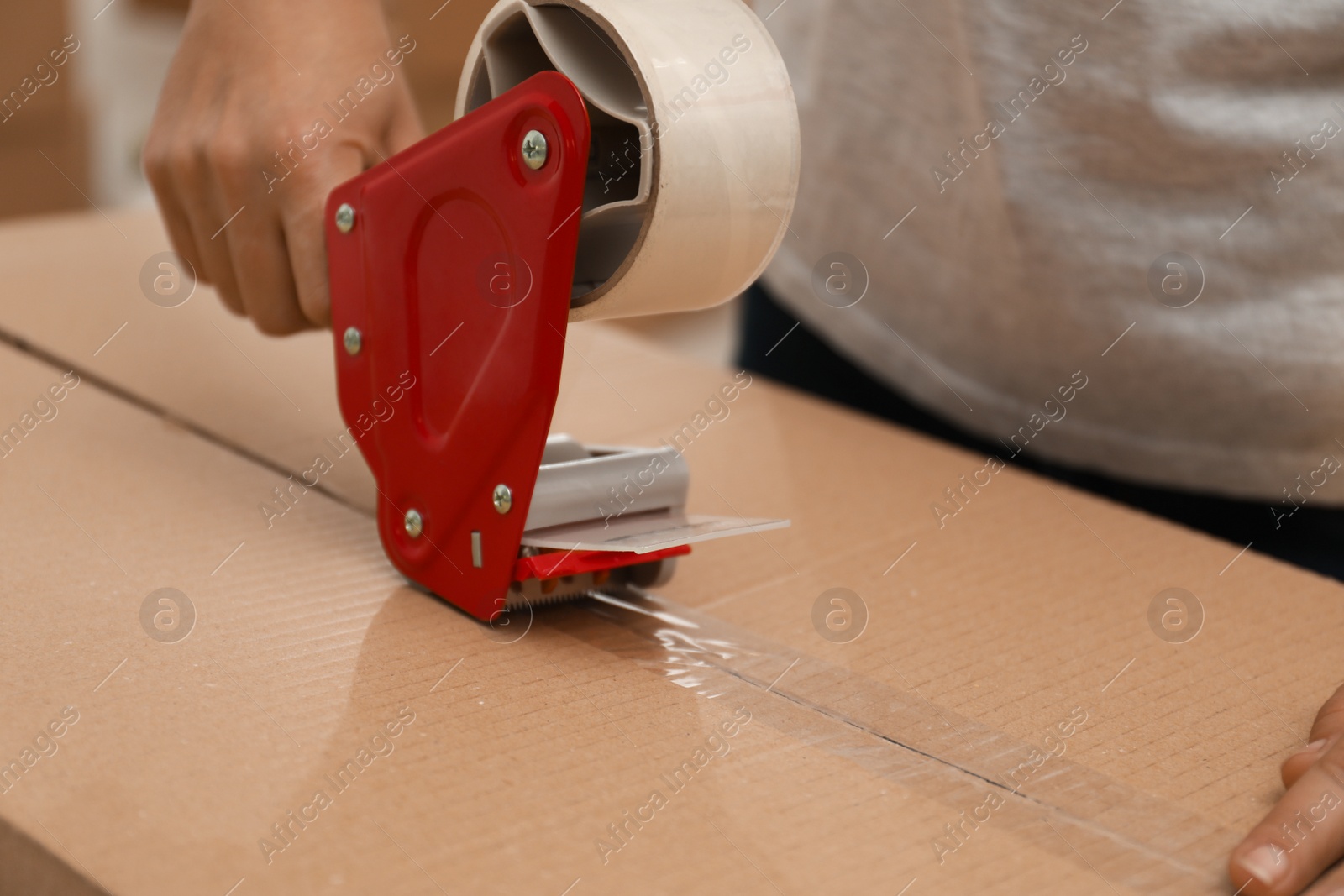 Photo of Woman packing cardboard box indoors, closeup. Moving day