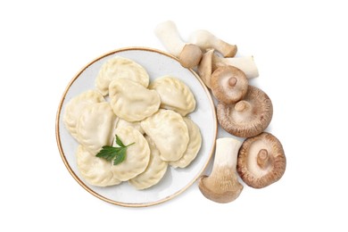 Photo of Delicious dumplings (varenyky) with mushrooms and parsley isolated on white, top view