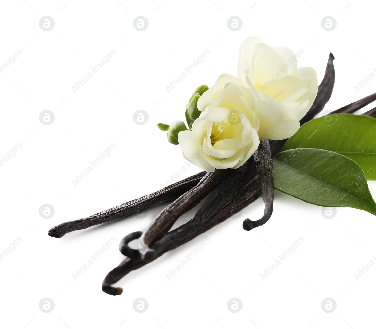 Photo of Vanilla pods, green leaves and flowers isolated on white