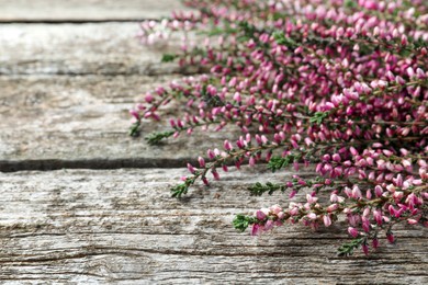 Photo of Heather branches with beautiful flowers on wooden table, closeup. Space for text