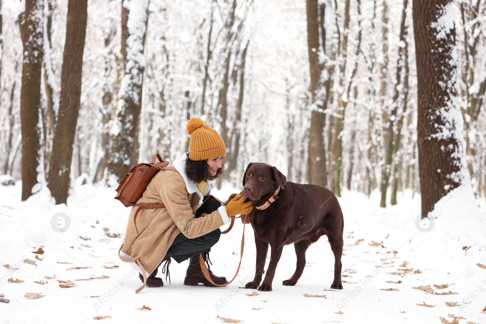 Photo of Woman with adorable Labrador Retriever dog in snowy park