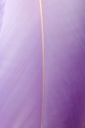 Photo of Closeup view of beautiful violet feather as background