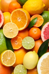 Different ripe citrus fruits with green leaves as background, top view