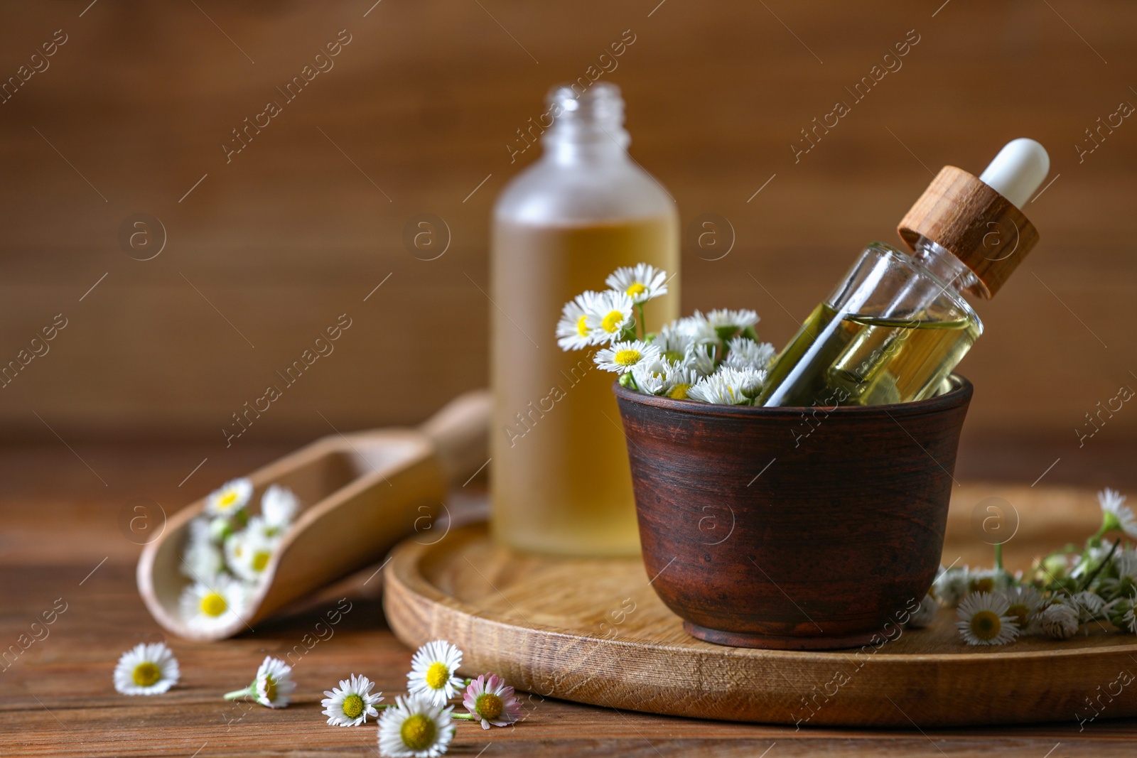 Photo of Chamomile essential oil and flowers on wooden table, space for text