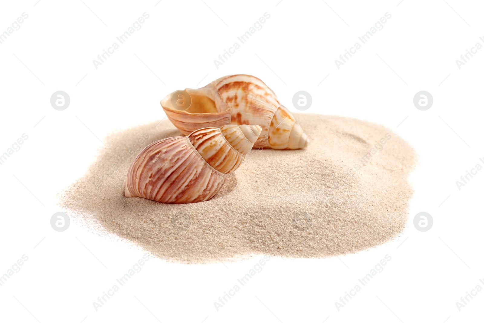 Photo of Pile of beach sand with sea shells isolated on white