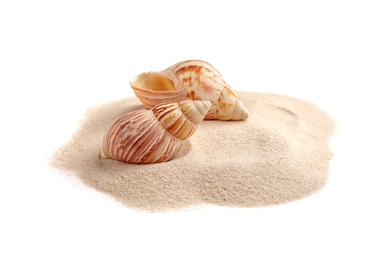 Photo of Pile of beach sand with sea shells isolated on white