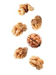 Tasty walnuts falling on white background 