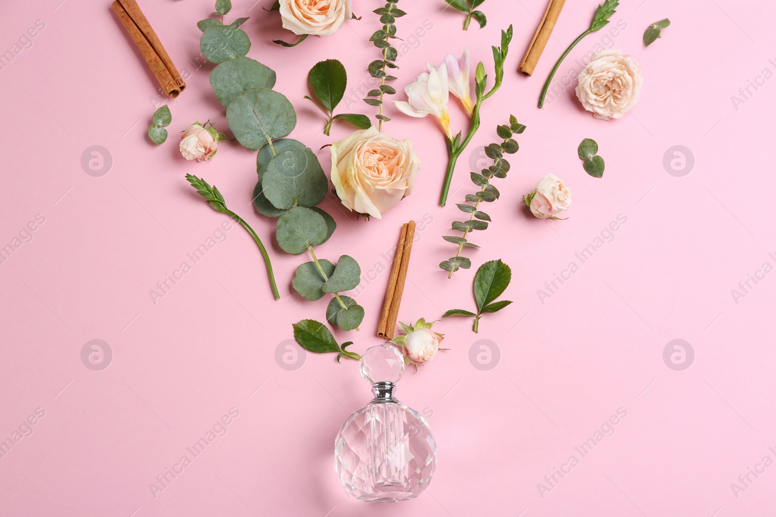 Photo of Beautiful flat lay composition with bottle of perfume, cinnamon and flowers on pink background