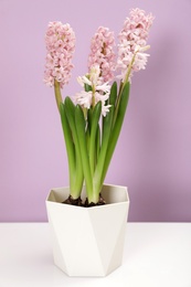 Photo of Beautiful spring hyacinth flowers on table against color background