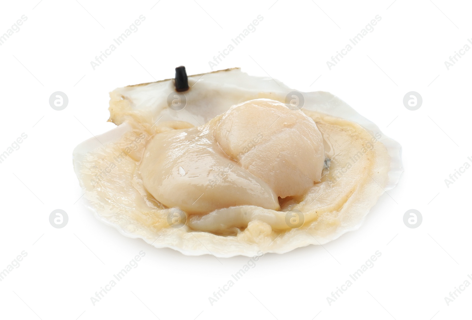 Photo of Fresh raw scallop in shell isolated on white