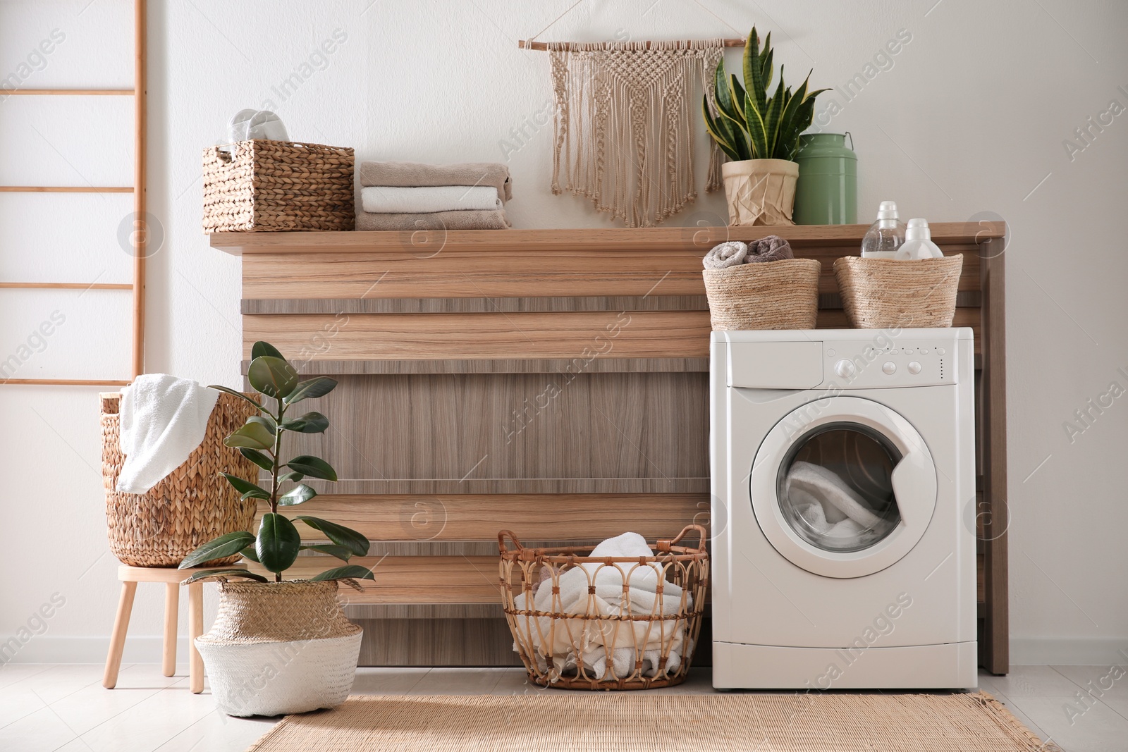 Photo of Modern washing machine and plants in laundry room interior