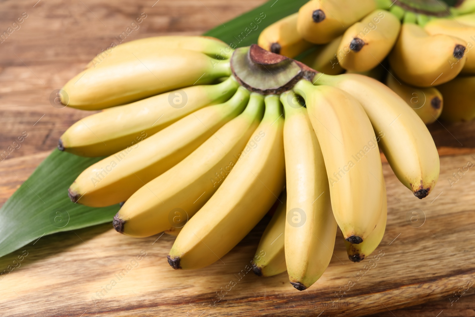 Photo of Tasty ripe baby bananas on wooden table, closeup