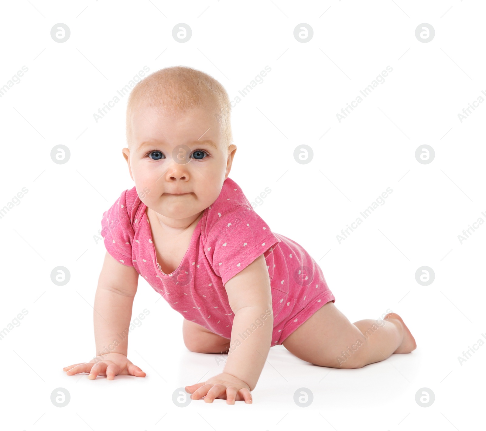 Photo of Cute little baby crawling on white background