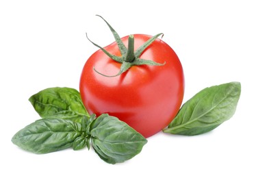 Photo of Fresh green basil leaves and tomato on white background