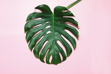 Photo of Green fresh monstera leaf on color background, top view. Tropical plant