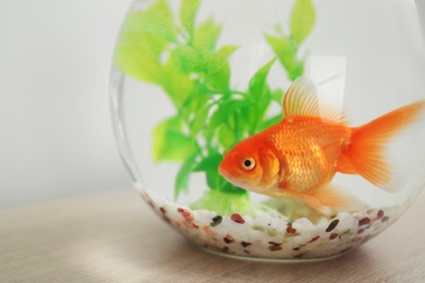 Photo of Beautiful bright small goldfish in round glass aquarium on wooden table, closeup