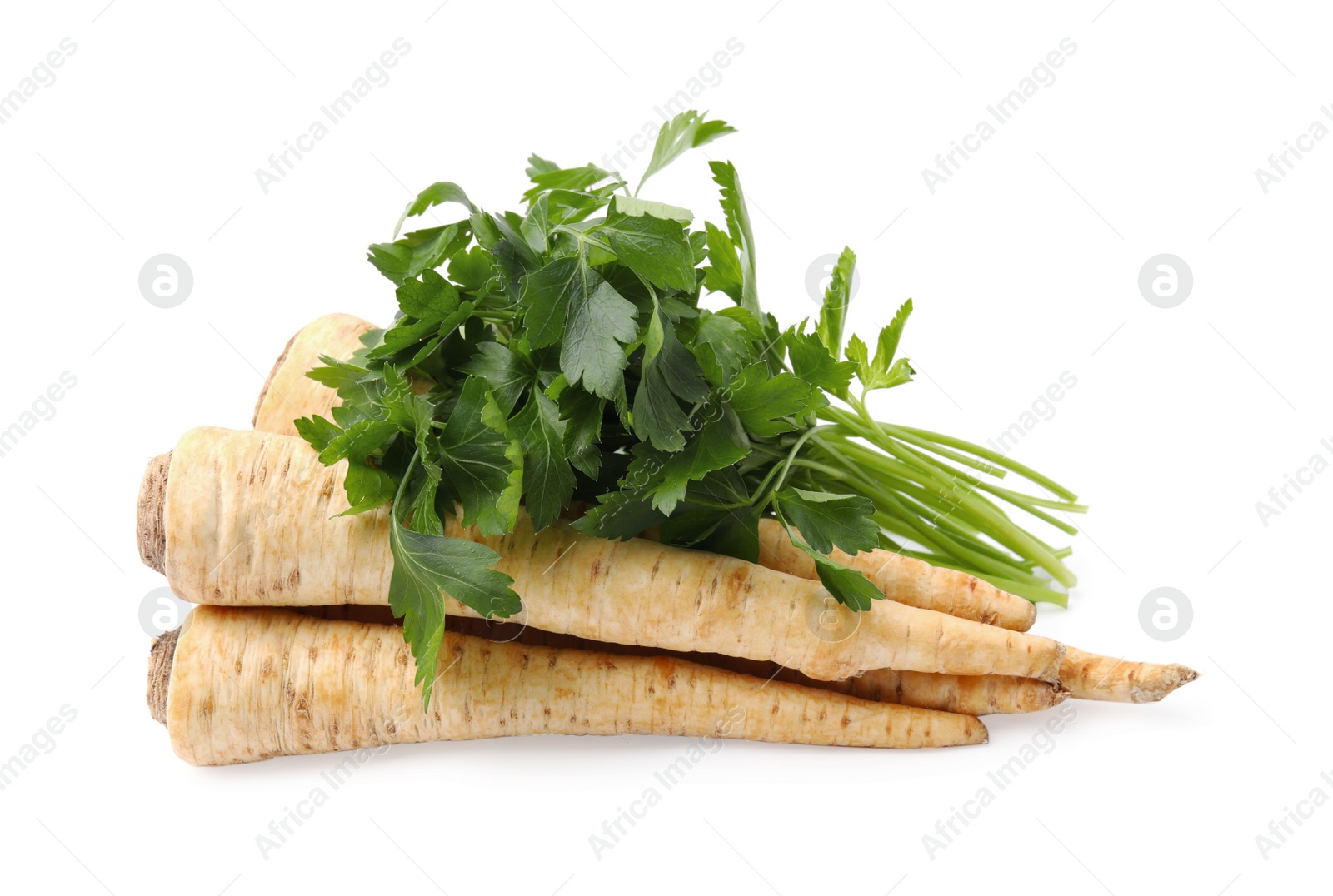 Photo of Raw parsley roots and bunch of fresh herb isolated on white