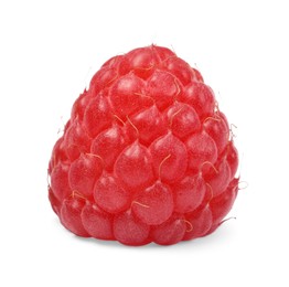 One tasty ripe raspberry isolated on white