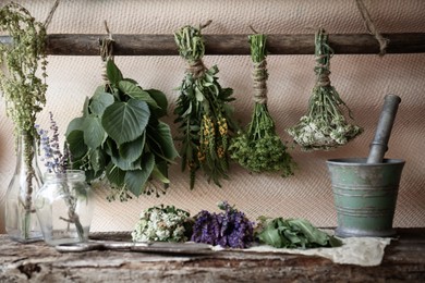 Photo of Bunches of different beautiful dried flowers and herbs indoors