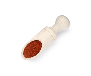 Photo of Scoop of aromatic paprika isolated on white, top view