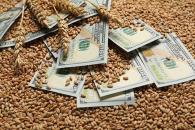 Photo of Dollar banknotes and wheat ears on grains, closeup. Agricultural business