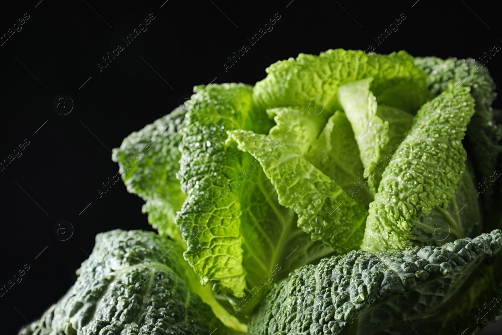 Photo of Fresh green savoy cabbage on black background, closeup