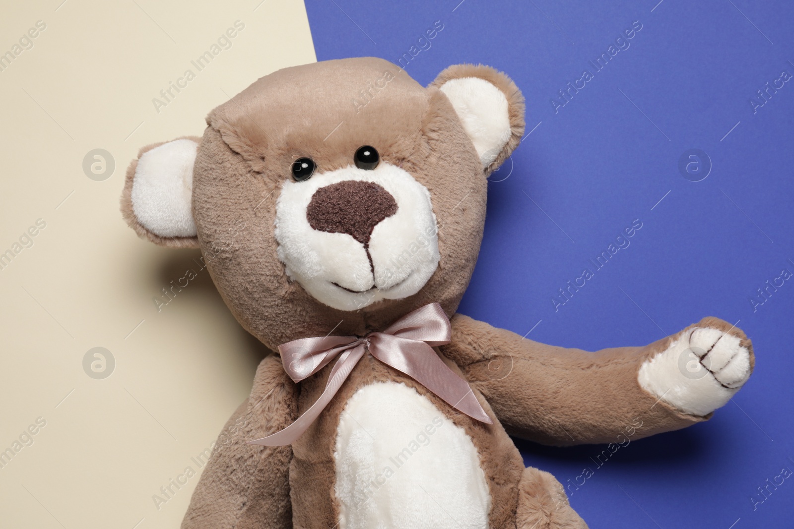 Photo of Cute teddy bear on color background, top view