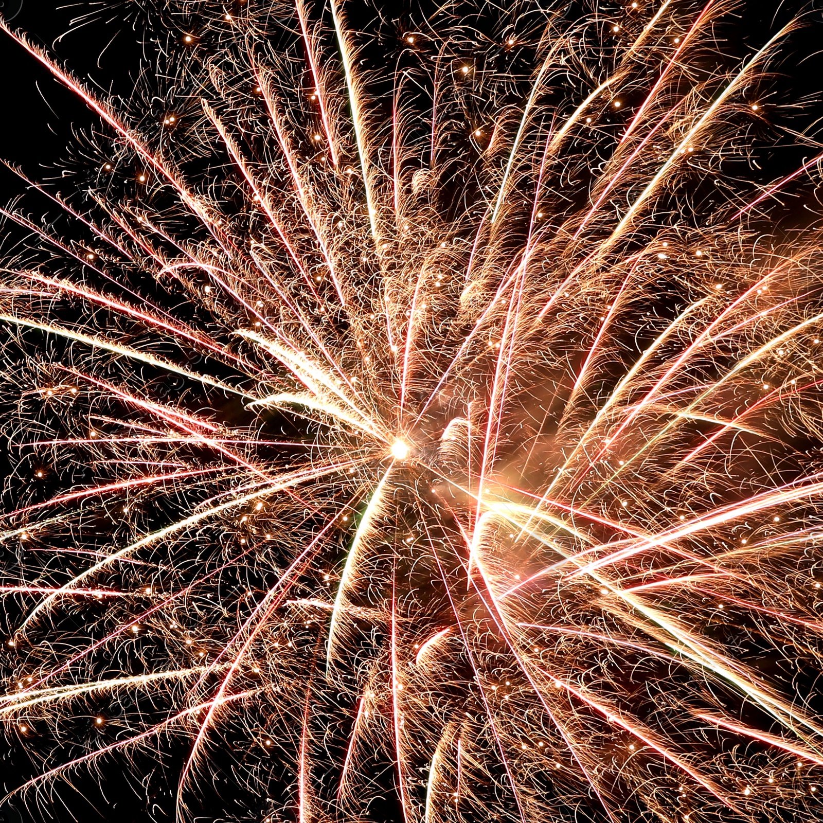 Photo of Beautiful bright firework lighting up night sky, closeup