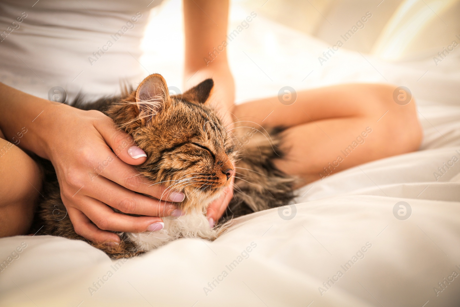 Photo of Woman with her cute cat on bed, closeup. Fluffy pet