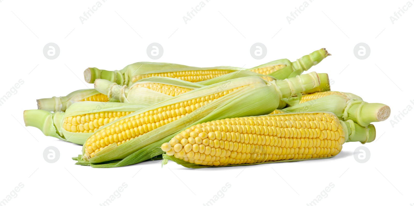 Photo of Tasty fresh corn cobs isolated on white