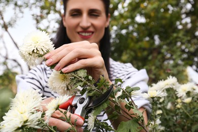 Photo of Woman pruning chrysanthemum stem by secateurs outdoors, focus on hands