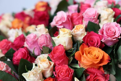 Photo of Bouquet of beautiful roses on blurred background, closeup