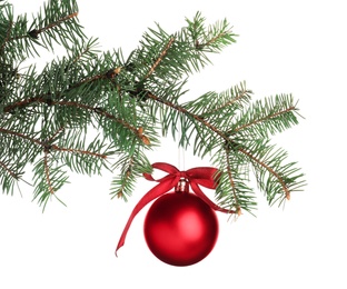 Photo of Red shiny Christmas ball on fir tree branch against white background