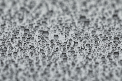 Water drops on light grey background, closeup view