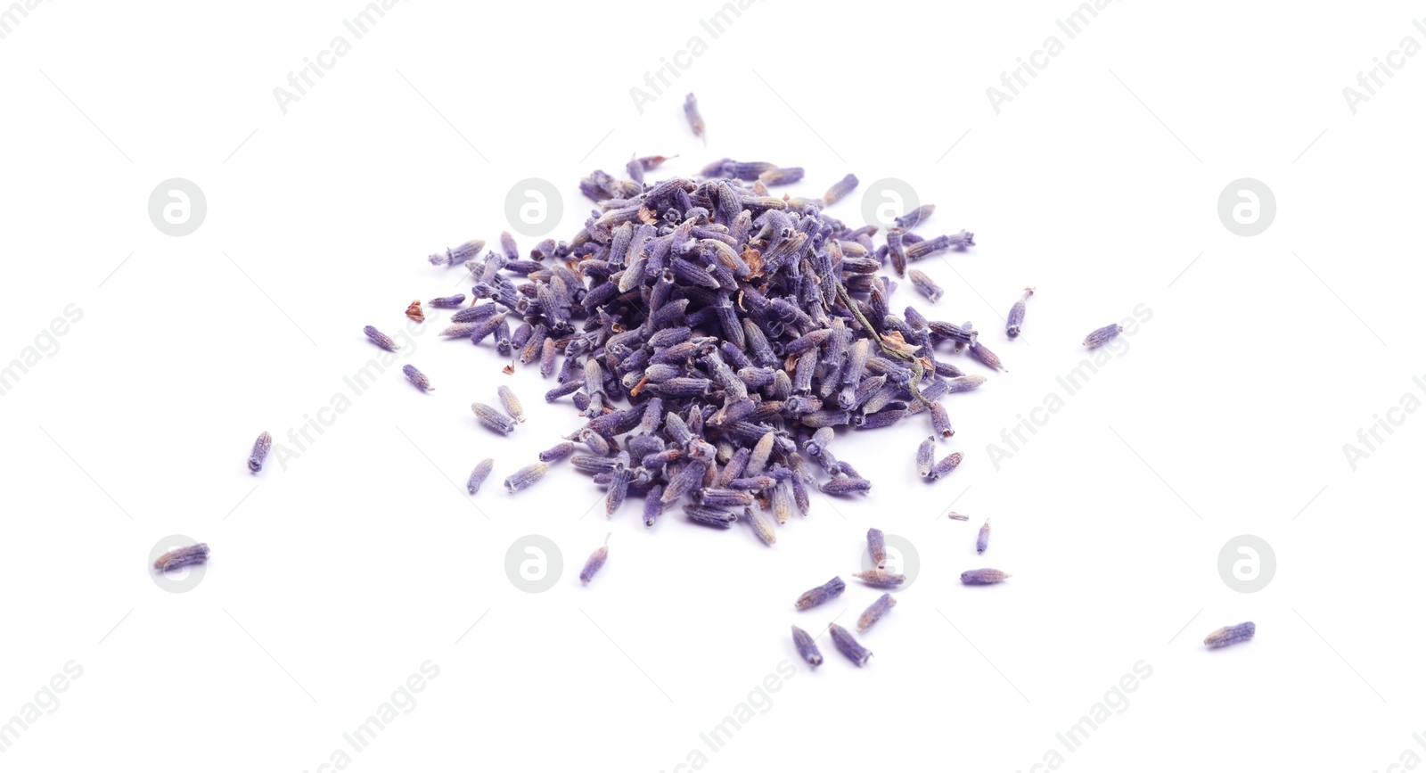 Photo of Beautiful purple lavender flowers on white background