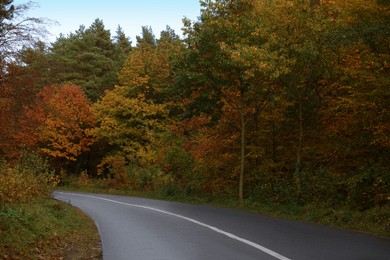 Photo of Beautiful view of asphalt road going through autumn forest