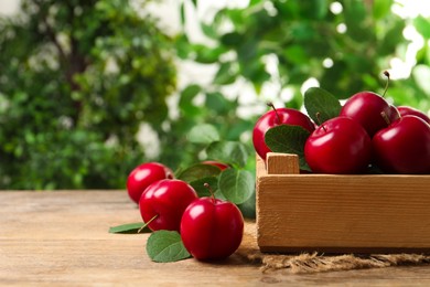 Photo of Fresh ripe cherry plums on wooden table outdoors. Space for text