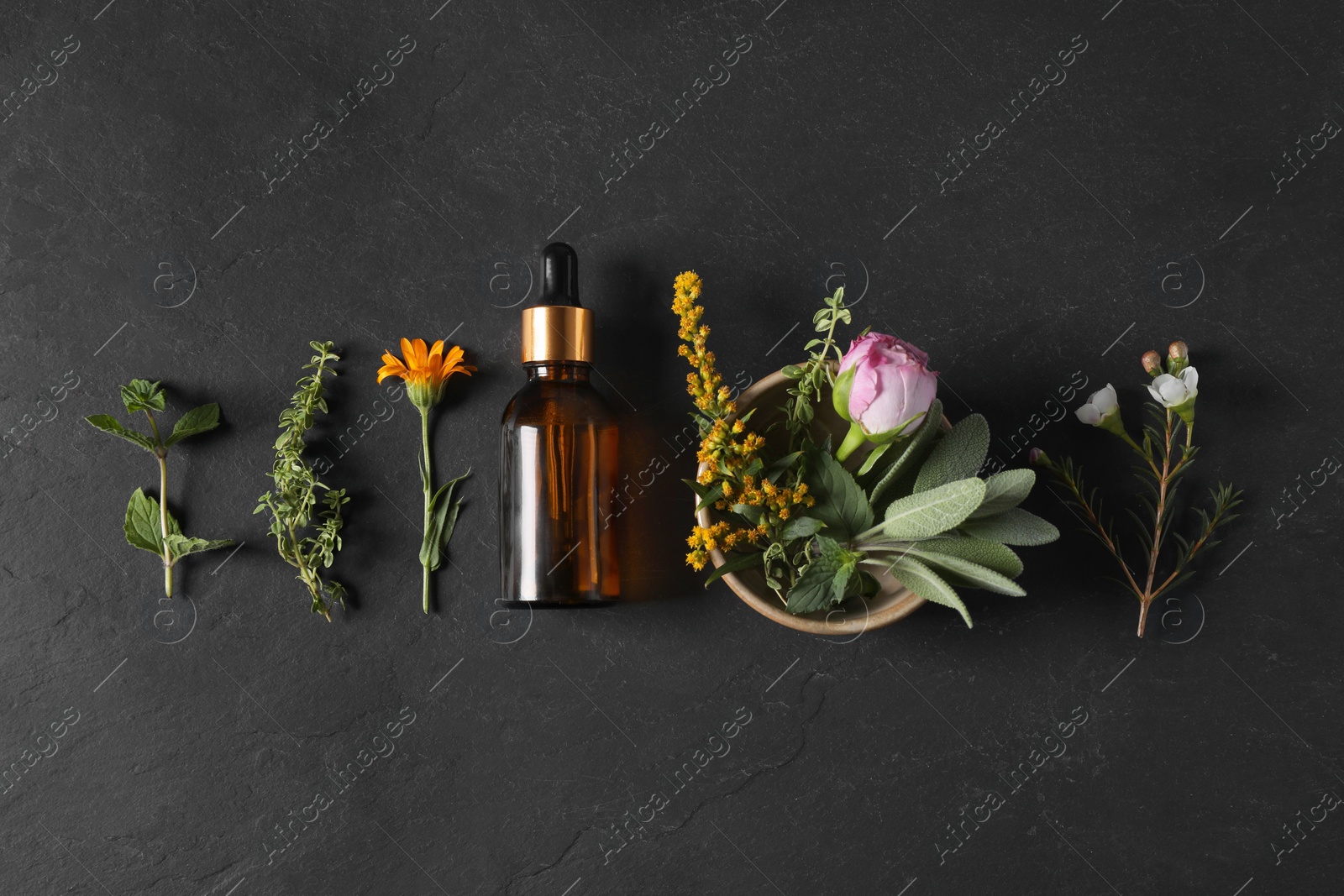 Photo of Bottle of essential oil, different herbs and flowers on black table, flat lay