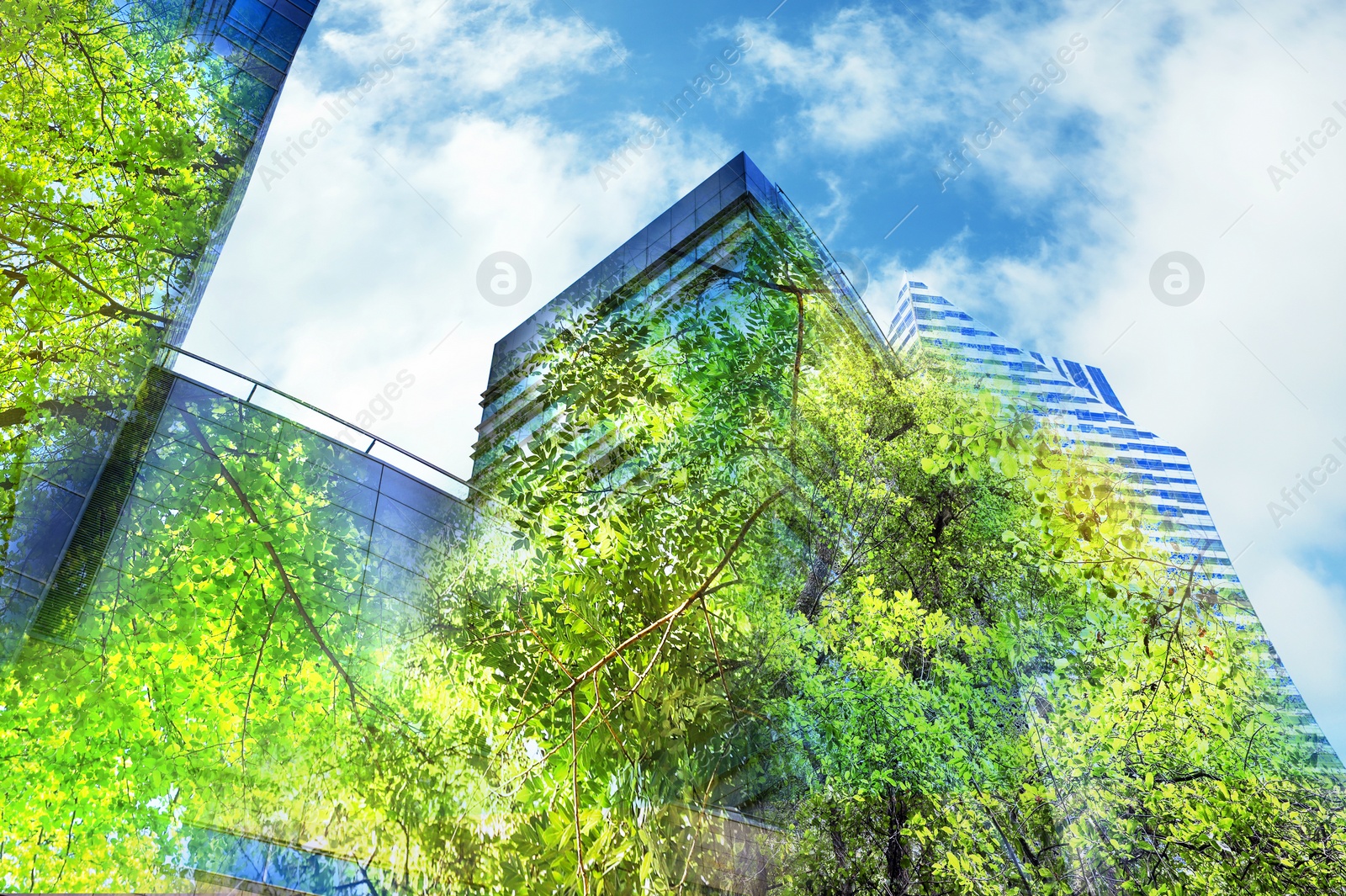 Image of Double exposure of green trees and buildings in city