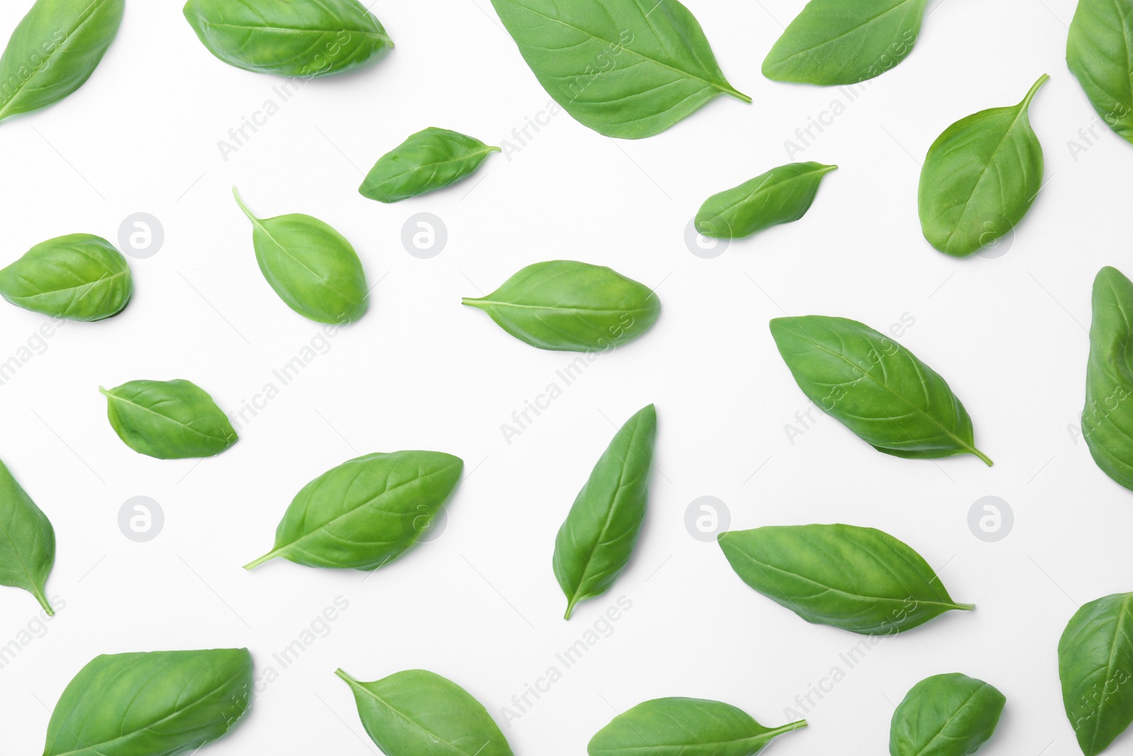 Photo of Fresh green basil leaves on white background, top view