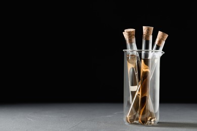 Test tubes with brown liquid on grey table. Space for text